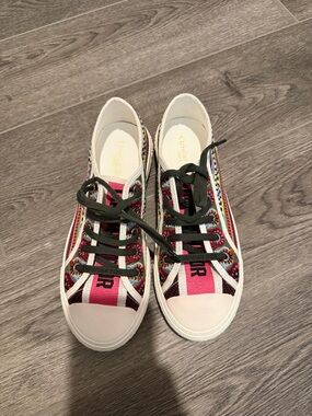 Dior Multicolor Canvas Low-Top Sneakers with Pink Stripe